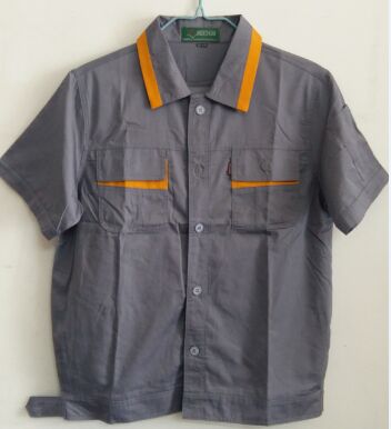 镶黄领短袖夏装